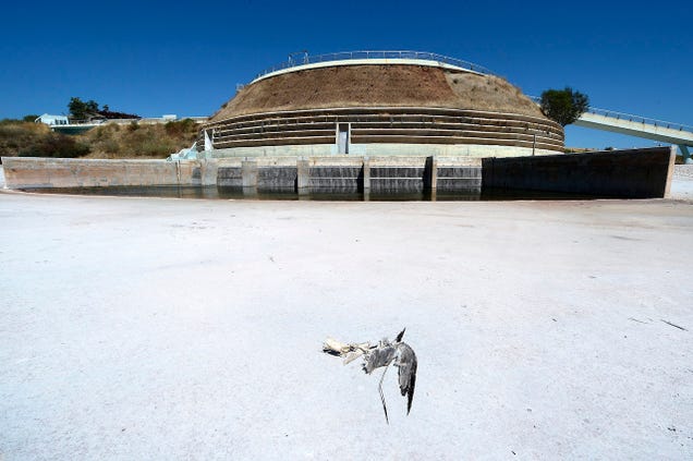 The Desolate State of Athens Olympic Venues 10 Years Later