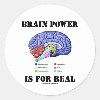Brain Power Is For Real (Brain Anatomy Attitude) Classic Round Sticker