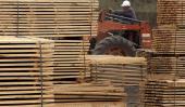 Industria forestal. Un aserradero en Calamuchita que procesa la madera de los pinares regionales (La Voz/Archivo). 