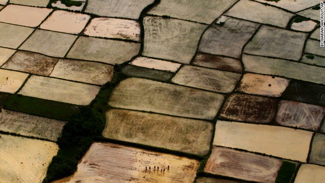 <strong>August 6:</strong> After monsoon rains, farmers replant paddy samplings at a rice field on the outskirts of Bhubaneswar, India.