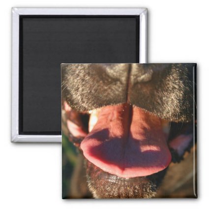 black dog nose pink tongue close up fridge magnets