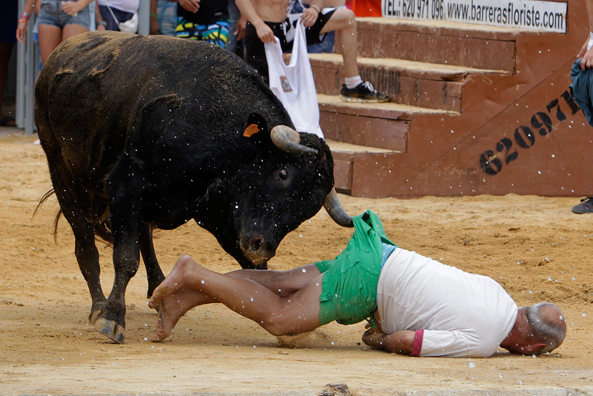 A man is gored by a bull during the Bous a la Mar festival in the eastern Spanish coastal town of Denia