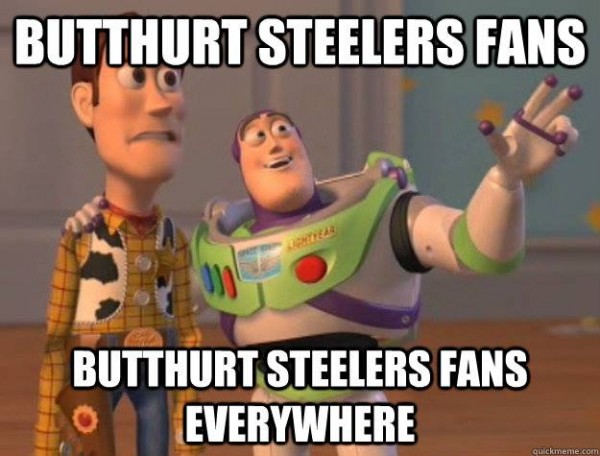 Hurt Steelers e1410522621737 16 Best Memes of the Baltimore Ravens Destroying the Pittsburgh Steelers