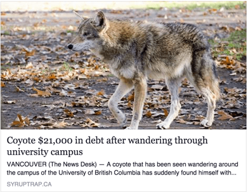 student loans,coyote,funny,college,g rated,School of FAIL