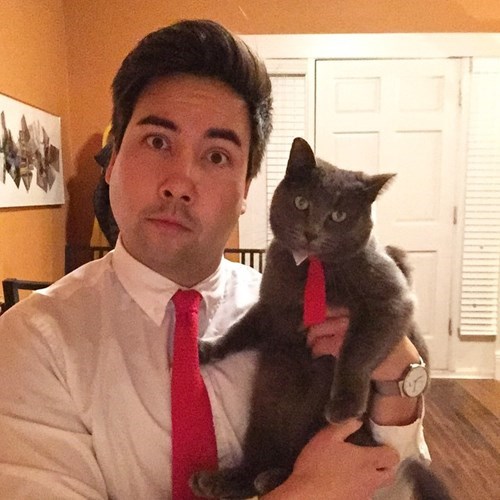 tie,poorly dressed,matching,Cats,g rated