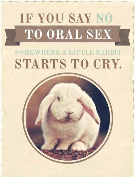 Please, Think of the Bunnies