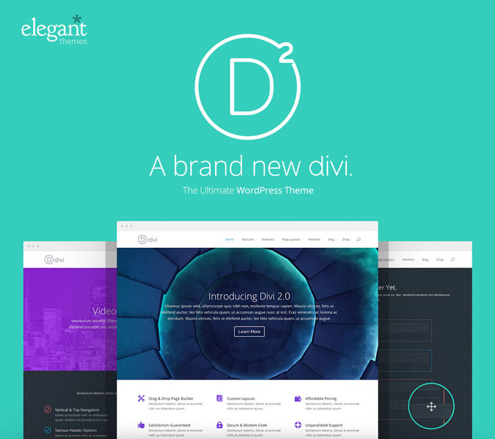 Giveaway: Get 3 Developer Subscriptions From Elegant Themes And The New Divi 2.0 1