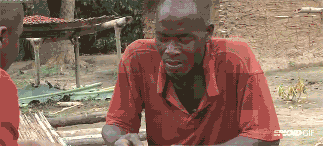 Cocoa farmers trying chocolate for the first time is a must watch