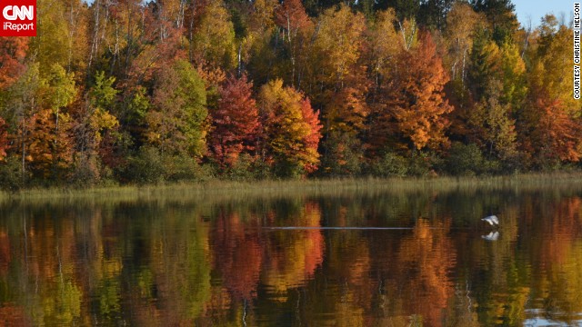<a href='http://ift.tt/1p3D2Ss'>Christine Nelson</a> captured this scene of the fall season from a pontoon boat on Ely Lake in Eveleth, Minnesota. "I was loving the colors and watching the (bird's) reflection skimming the water," she said. 