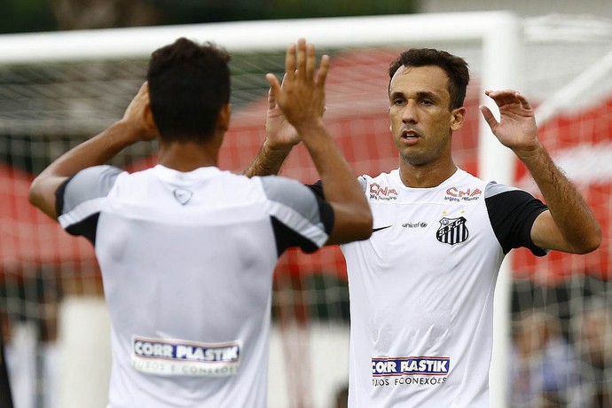 Thiago Ribeiro atacante Santos (Foto: Ricardo Saibun/Santos FC)