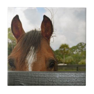 eyes over fence horse head ceramic tile