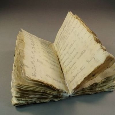 100-year-old notebook found encased in Antarctic ice is part of Robert Scott's expedition team