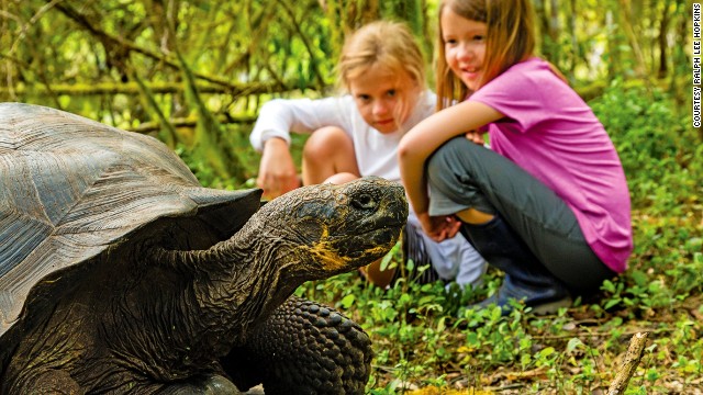 Santa Cruz is a great place to see giant tortoises in their natural habitat. 