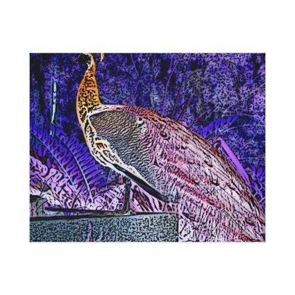 purple peacock sketch invert gallery wrap canvas