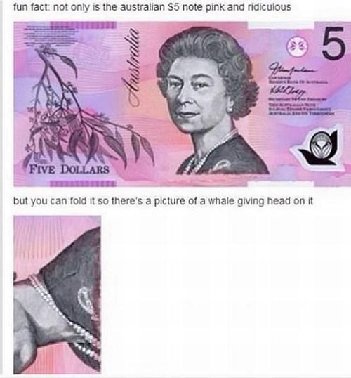 accidental sexy,australia,money,failbook