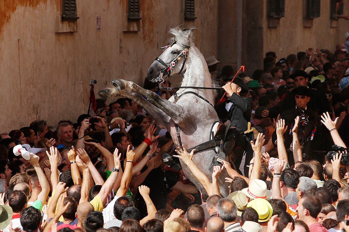 A rider rears up on his horse while surrounded by a cheering crowd during the traditional Fiesta of San Juan (Saint John) in Ciutadella, on the Spanish Balearic Island of Menorca