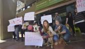CÓRDOBA. La semana pasada proteccionistas reclamaron por los perros desaparecidos (La Voz/Archivo)