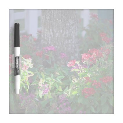 flowers red purple painted look floral plant desig dry erase whiteboards