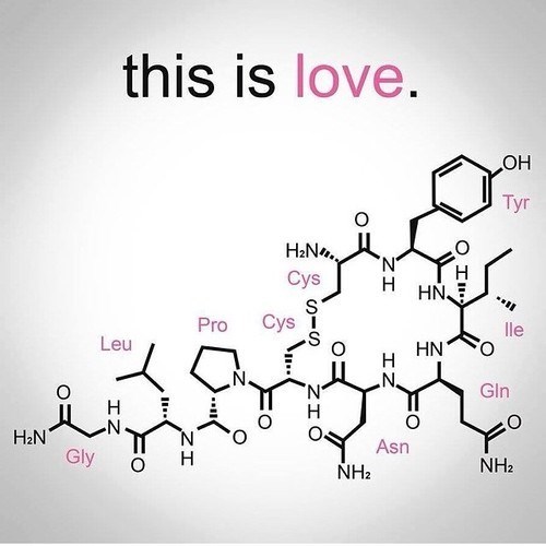 Love, It's a Chemical