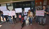 PROTECCIONISTAS. Reclamaron en la Municipalidad por la desaparición de perros en la ciudad (La Voz/Archivo). 