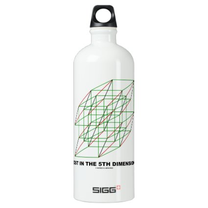 Lost In The Fifth Dimension? (Geometry Cube Humor) SIGG Traveler 1.0L Water Bottle