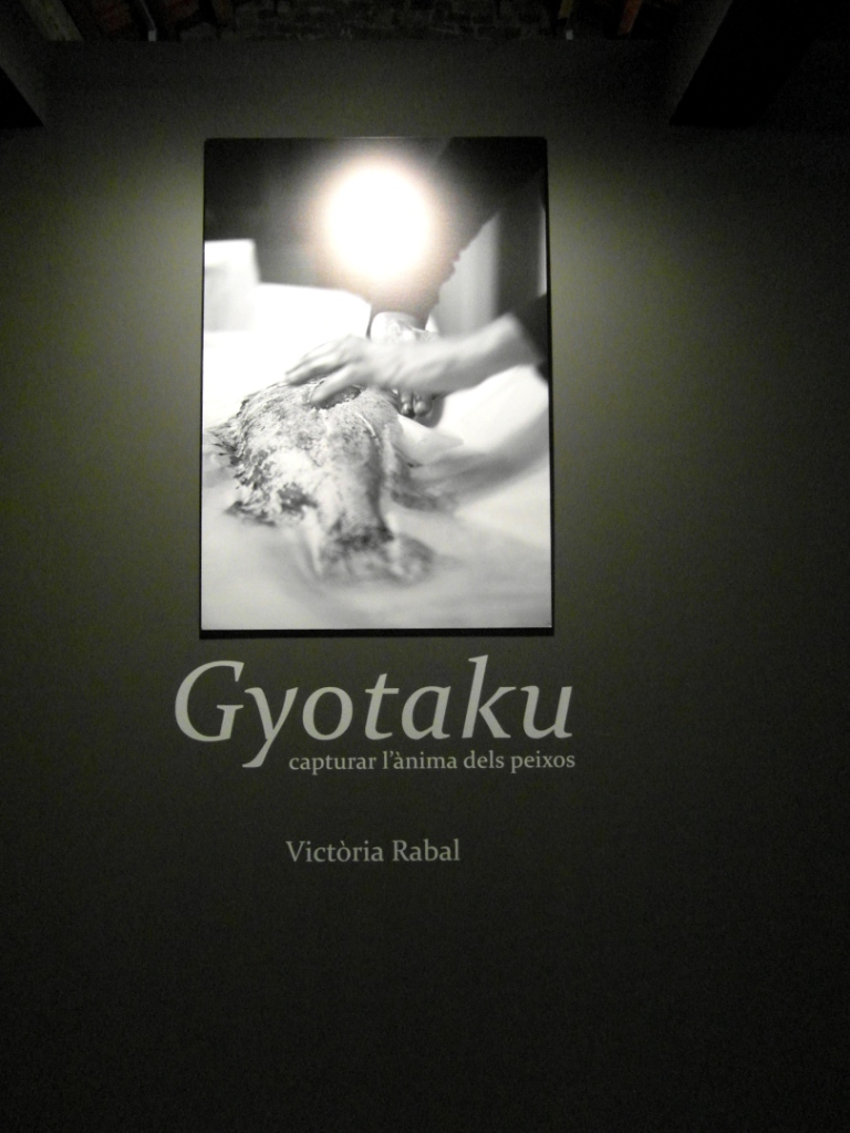 1Gyotaku_enR-2014