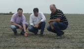 Nicolás Maglione, Guillermo Olivera y Hugo Zanellato en un lote sembrado hace 12 días. El maní integra la rotación con trigo, sorgo, maíz y soja (La Voz).
