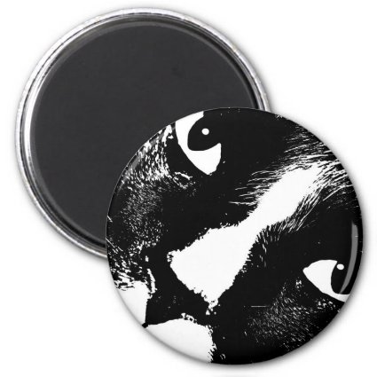 Black and white cat face close up magnets