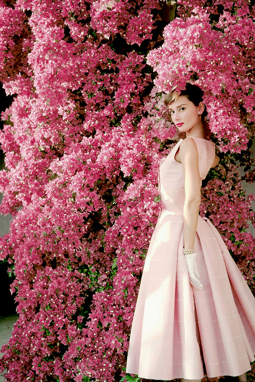 Audrey Hepburn photographed by Norman Parkinson, 1955