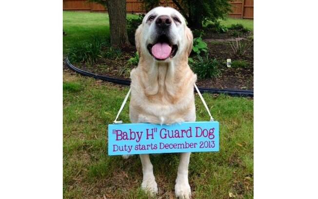 “Cão de guarda do bebê – trabalhos começam em dezembro”, diz a plaquinha criativa pendurada no pet da família