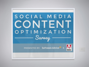 social-media-optimization-survey-placeit
