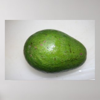 big green avacado fruit picture poster