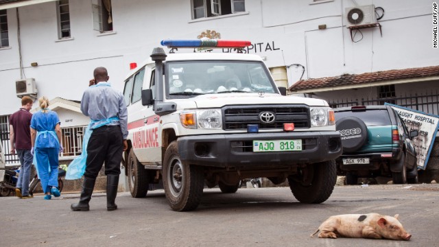 A baby pig sleeps in front of an ambulance at the Connaught Hospital in Freetown on September 21.