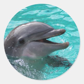 Dolphin head in aquamarine water round stickers