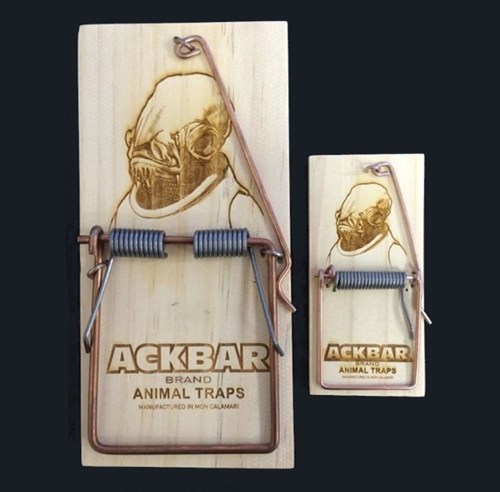 star wars,design,mouse trap,admiral ackbar,g rated,win