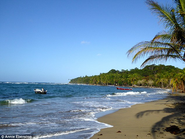 Costa Rica's Caribbean Coast is home to long stretches of unspoiled beaches and palm trees