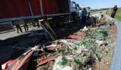 La carga destruida de un camión, ayer en variante Juárez Celman (La Voz/Ramiro Pereyra). 
