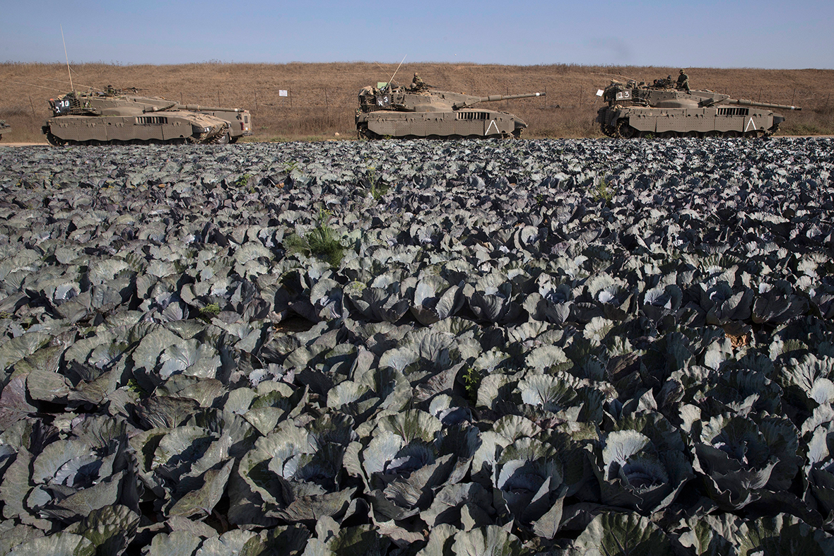 Israeli tanks are positioned on the edge of a cabbage field near the border with the Gaza Strip