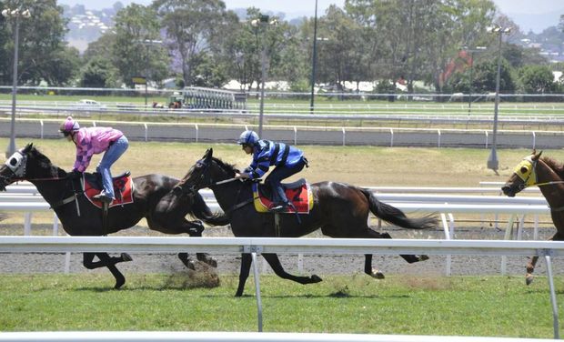 Tinto (Kenji Yoshida, right) finishing third yesterday in an open Clifford Park barrier trial over 925m.