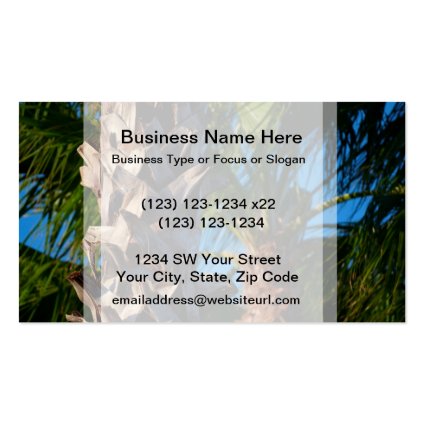 palm trees in florida business card templates