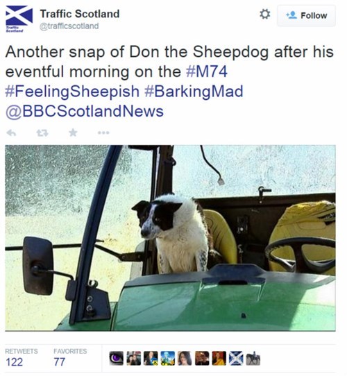 funny-news-fail-tractor-dog-scotland
