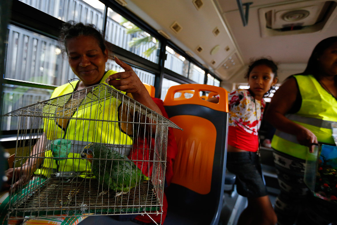 Maria Davila and her pet bird named Coti sit on a bus that will transport them to their new home