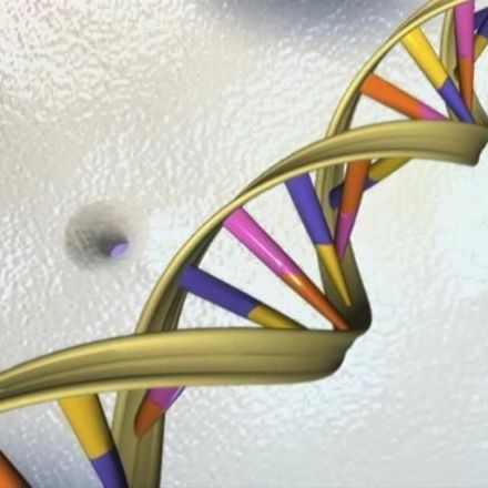 U.S. Proposes Effort to Analyze DNA From 1 Million People