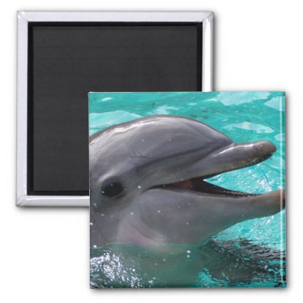 Dolphin head in aquamarine water 2 inch square magnet