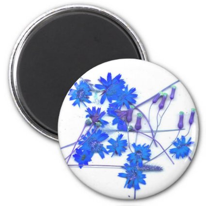 Scattered blue colored wild flowers refrigerator magnets
