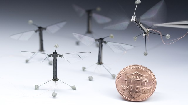 Scientists at Harvard's School of Engineering and Applied Sciences have developed a miniature flying robot that emulates a wasp or bee. The innovative new mechanical insect serves many purposes, including search & rescue in inaccessible areas, military surveillance or risk assessment.