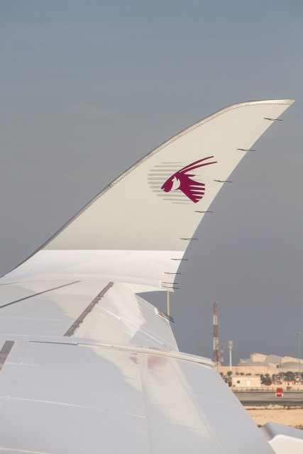 Probably the best looking winglet ever designed Photo: Jacob Pfleger | AirlineReporter