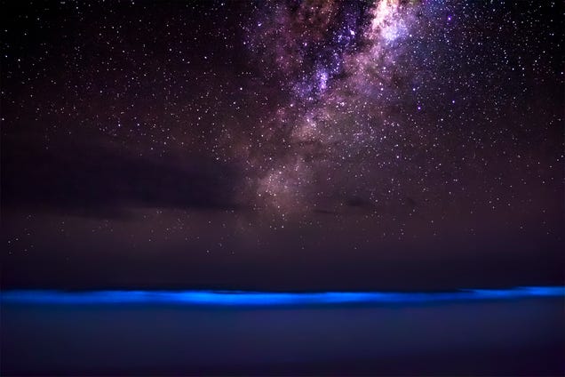 Rare view of the ocean glowing blue against the Milky Way