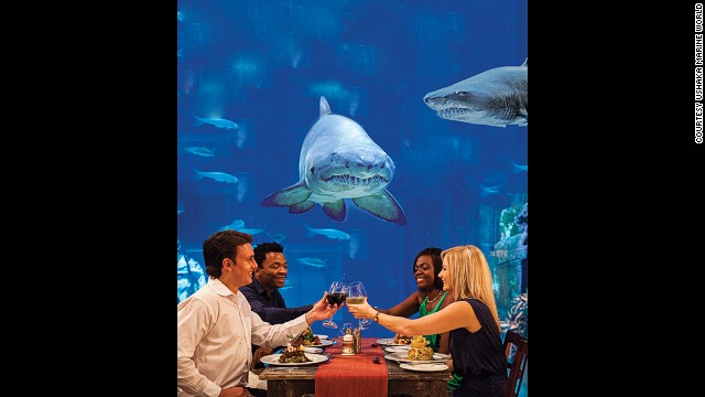 Dining on a rock, dining inside an ancient cave, how about dining also with sharks? The Durban-based Cargo Hold restaurant is built in a replica ship, with tables next to a wall-sized shark aquarium.