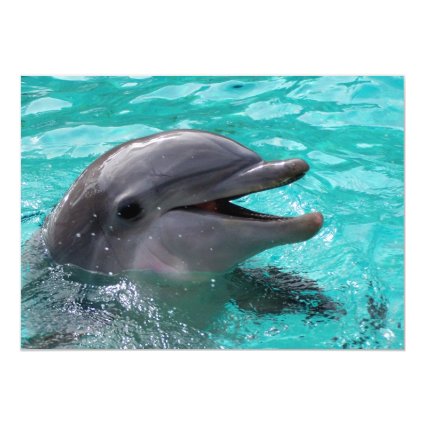 Dolphin head in aquamarine water 5" x 7" invitation card